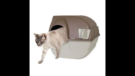 omega paw litter box problems